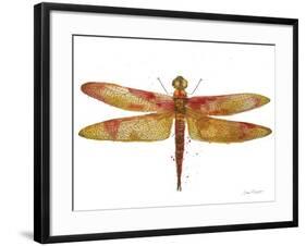 JP3442-Dragonfly Bliss-Jean Plout-Framed Giclee Print