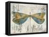 JP3450-Lovely Dragonfly-Jean Plout-Framed Stretched Canvas