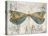 JP3450-Lovely Dragonfly-Jean Plout-Stretched Canvas