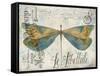 JP3450-Lovely Dragonfly-Jean Plout-Framed Stretched Canvas