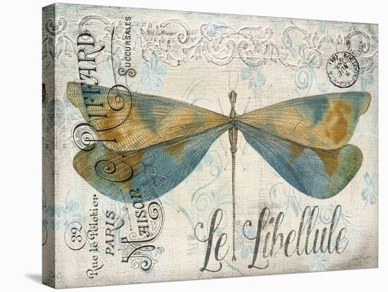 JP3450-Lovely Dragonfly-Jean Plout-Stretched Canvas