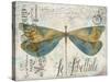 JP3450-Lovely Dragonfly-Jean Plout-Stretched Canvas