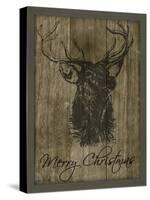 JP3457-Merry Christmas-Jean Plout-Stretched Canvas