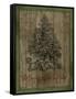 JP3458-Christmas Tree-Jean Plout-Framed Stretched Canvas