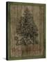 JP3458-Christmas Tree-Jean Plout-Stretched Canvas