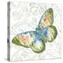 JP3495-Butterfly And Palms-Jean Plout-Stretched Canvas