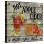 JP3601-Hot Apple Cider-Jean Plout-Stretched Canvas