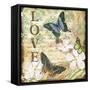 JP3631_Inspirational Butterflies-love-Jean Plout-Framed Stretched Canvas