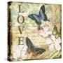 JP3631_Inspirational Butterflies-love-Jean Plout-Stretched Canvas