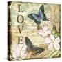 JP3631_Inspirational Butterflies-love-Jean Plout-Stretched Canvas