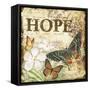 JP3633_Inspirational Butterflies-hope-Jean Plout-Framed Stretched Canvas