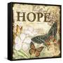 JP3633_Inspirational Butterflies-hope-Jean Plout-Framed Stretched Canvas