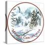 JP3658-Merry Christmas-Jean Plout-Stretched Canvas