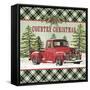 JP3674-Country Christmas-Jean Plout-Framed Stretched Canvas