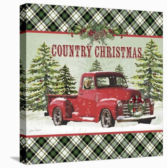 JP3674-Country Christmas-Jean Plout-Stretched Canvas