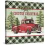 JP3674-Country Christmas-Jean Plout-Stretched Canvas