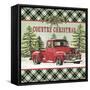 JP3674-Country Christmas-Jean Plout-Framed Stretched Canvas