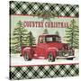 JP3674-Country Christmas-Jean Plout-Stretched Canvas