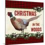 JP3676-Christmas In The Woods-Jean Plout-Mounted Giclee Print