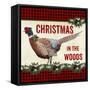 JP3676-Christmas In The Woods-Jean Plout-Framed Stretched Canvas