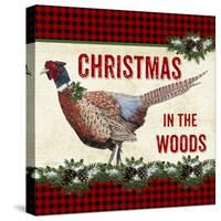 JP3676-Christmas In The Woods-Jean Plout-Stretched Canvas