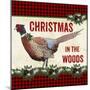 JP3676-Christmas In The Woods-Jean Plout-Mounted Premium Giclee Print