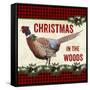 JP3676-Christmas In The Woods-Jean Plout-Framed Stretched Canvas