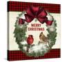 JP3678-Merry Christmas-Jean Plout-Stretched Canvas