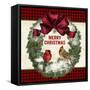 JP3678-Merry Christmas-Jean Plout-Framed Stretched Canvas