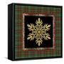JP3690-Rustic Snowflakes-Jean Plout-Framed Stretched Canvas