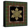 JP3690-Rustic Snowflakes-Jean Plout-Framed Stretched Canvas