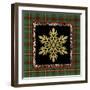 JP3690-Rustic Snowflakes-Jean Plout-Framed Giclee Print