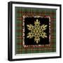 JP3690-Rustic Snowflakes-Jean Plout-Framed Giclee Print