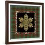 JP3690-Rustic Snowflakes-Jean Plout-Framed Giclee Print