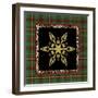 JP3691-Rustic Snowflakes-Jean Plout-Framed Giclee Print