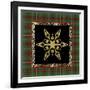 JP3691-Rustic Snowflakes-Jean Plout-Framed Giclee Print