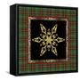 JP3691-Rustic Snowflakes-Jean Plout-Framed Stretched Canvas