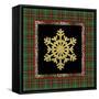 JP3692-Rustic Snowflakes-Jean Plout-Framed Stretched Canvas