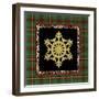 JP3692-Rustic Snowflakes-Jean Plout-Framed Giclee Print