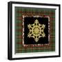 JP3692-Rustic Snowflakes-Jean Plout-Framed Giclee Print