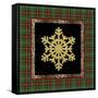 JP3692-Rustic Snowflakes-Jean Plout-Framed Stretched Canvas