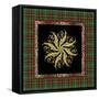 JP3693-Rustic Snowflakes-Jean Plout-Framed Stretched Canvas