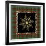 JP3695-Rustic Snowflakest-Jean Plout-Framed Giclee Print