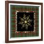 JP3695-Rustic Snowflakest-Jean Plout-Framed Giclee Print