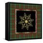 JP3695-Rustic Snowflakest-Jean Plout-Framed Stretched Canvas