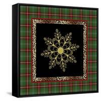 JP3695-Rustic Snowflakest-Jean Plout-Framed Stretched Canvas