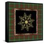 JP3695-Rustic Snowflakest-Jean Plout-Framed Stretched Canvas