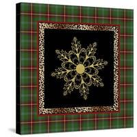 JP3695-Rustic Snowflakest-Jean Plout-Stretched Canvas