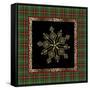 JP3696-Rustic Snowflakes-Jean Plout-Framed Stretched Canvas