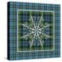 JP3704-Plaid Snowflakes-Jean Plout-Stretched Canvas